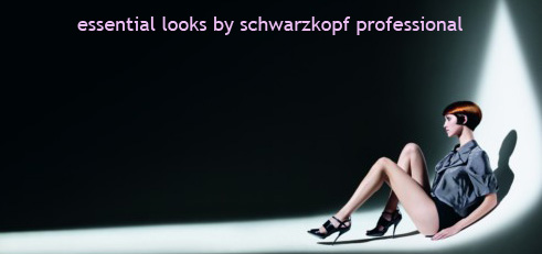 essential looks by schwarzkopf professional