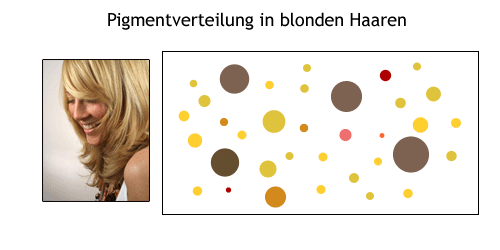 Pigmentverteilung bei blonden Haaren